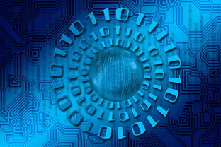 开云网址-关键一战：谁能赢得晋级的最后一搏？，关键一战 同义词